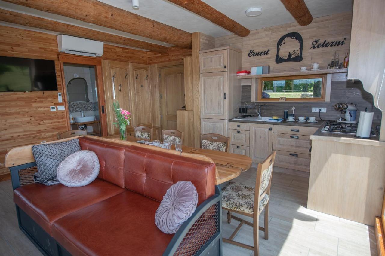 Holiday Home Ernest Zelezni With Hot Tub Ivancna Gorica Экстерьер фото